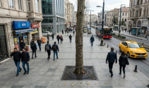 Dış mekan koşullarına uygun, dayanıklı S235JR çelik, korozyona dirençli paslanmaz çelik ve hafif alüminyum gibi farklı malzeme seçenekleriyle üretilen, tercih ettiğiniz RAL renk kodunda boyanan ağaç dibi ızgaraları. TSE kalite standartlarında üretim.
